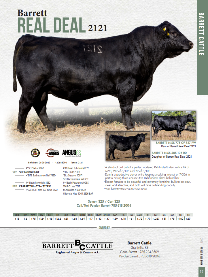 Screenshot 2026-03-04 111017